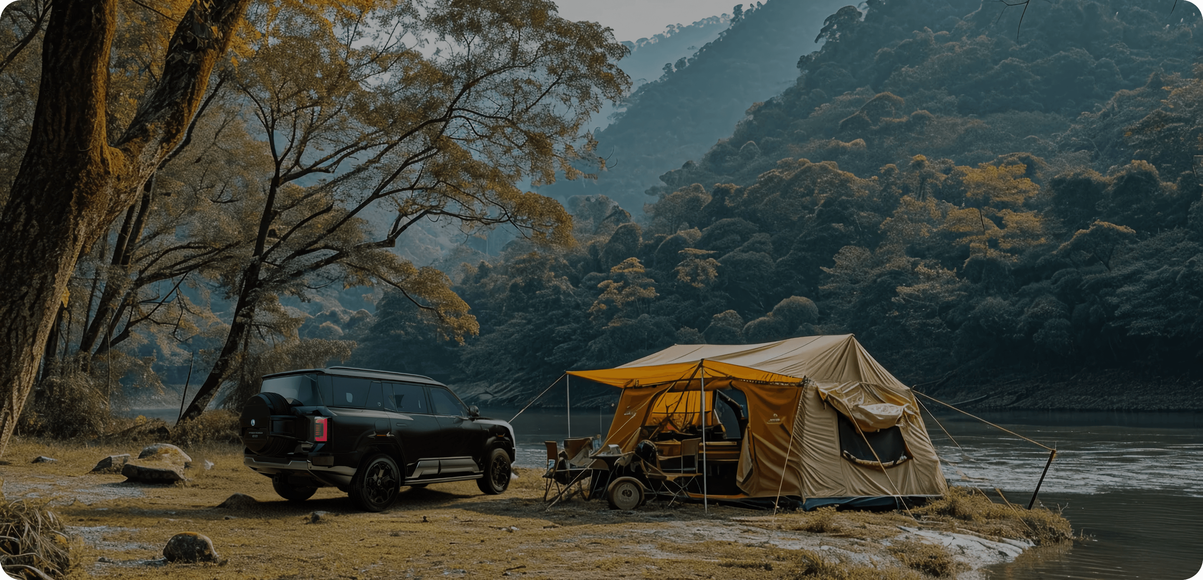 Denza platform in action